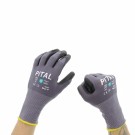 Pital Arbeidshanske Proff OT thumbnail