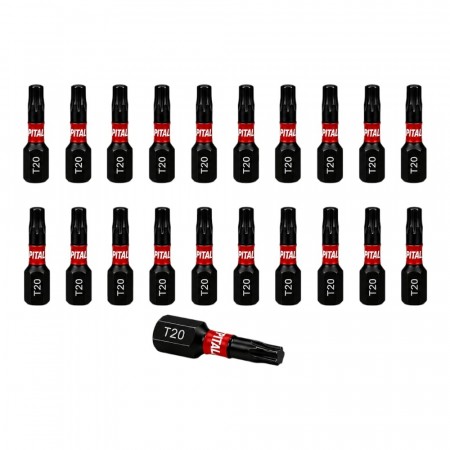 Pital Bits 25mm Torx T20 - 20 stk.