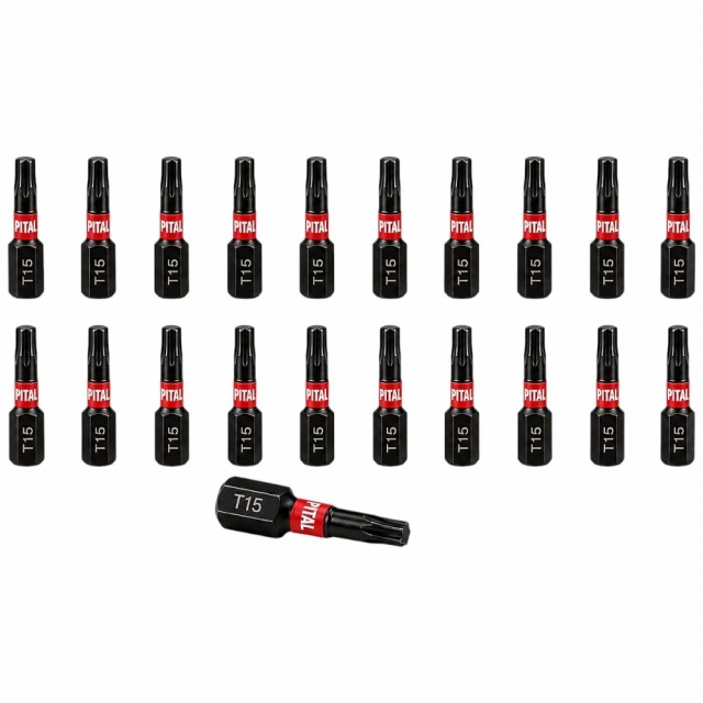 Pital Bits 25mm Torx T15