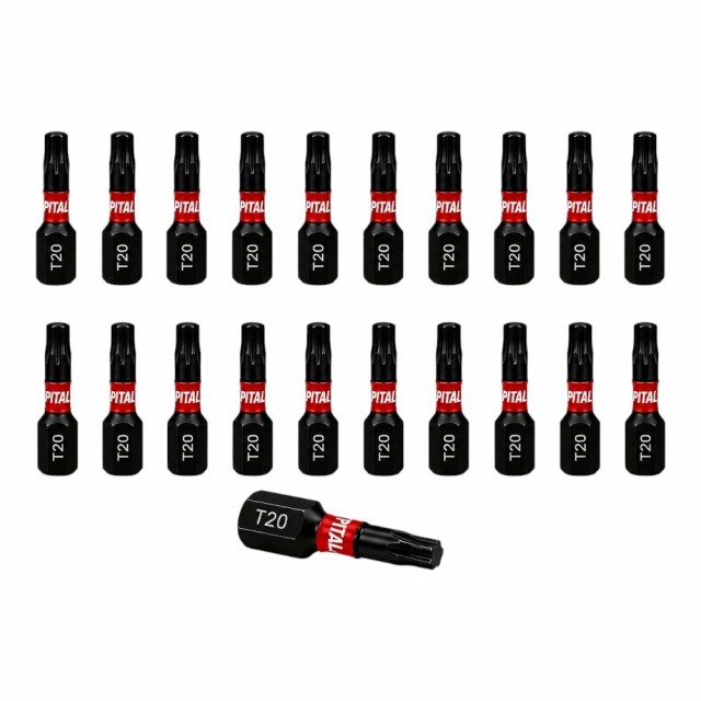 Pital Bits 25mm Torx T20