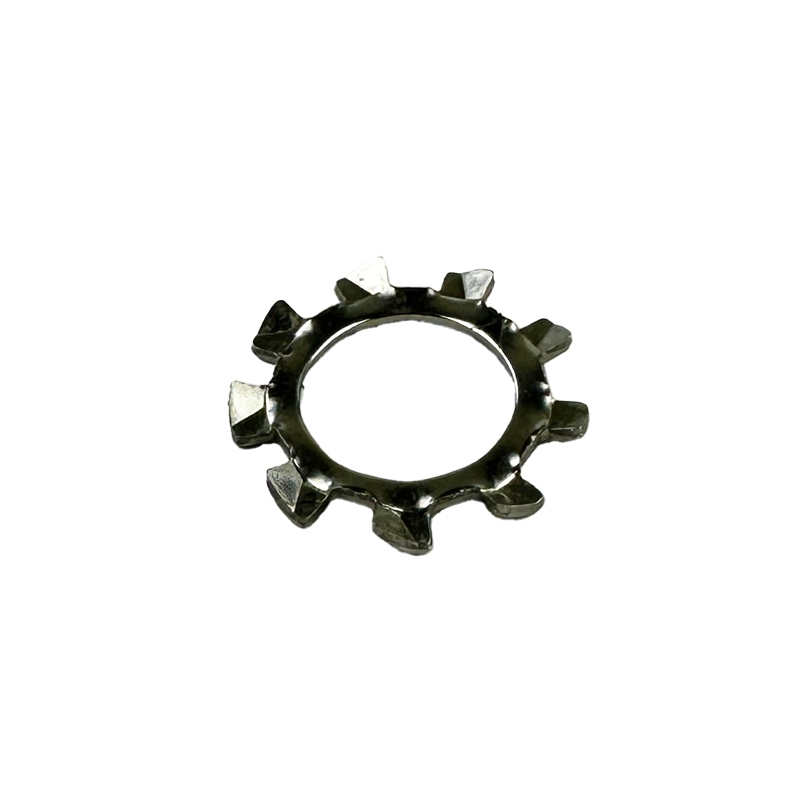 Tannskive M10 (10,5mm) A4 Syrefast DIN 6797-A