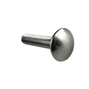 Vognbolt A4 Syrefast DIN 603 M10x20mm, 10, 20